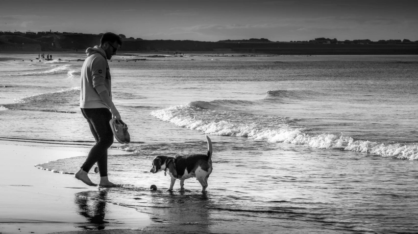 a man walking a dog on the beach near the water