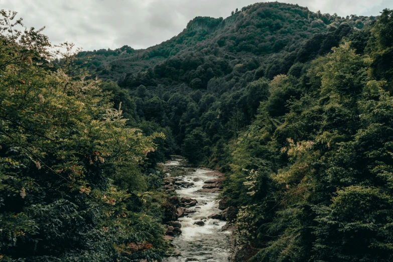 an image of a river flowing between the mountains