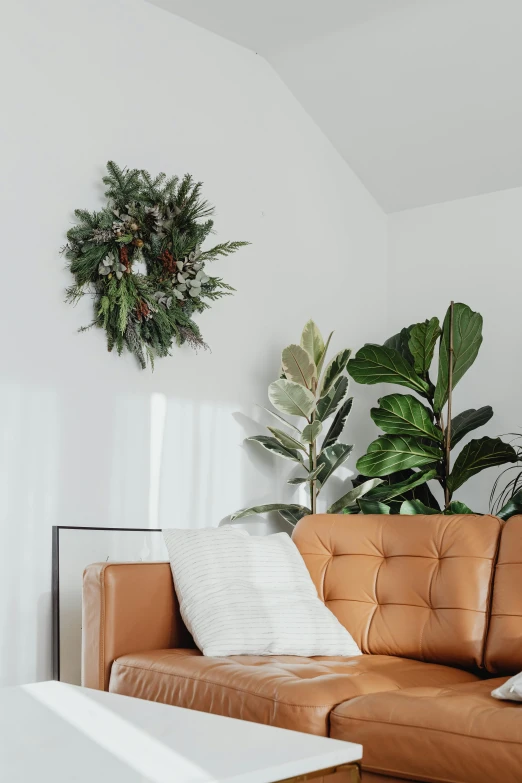 a couch, chair and two potted plants are placed in this white living room