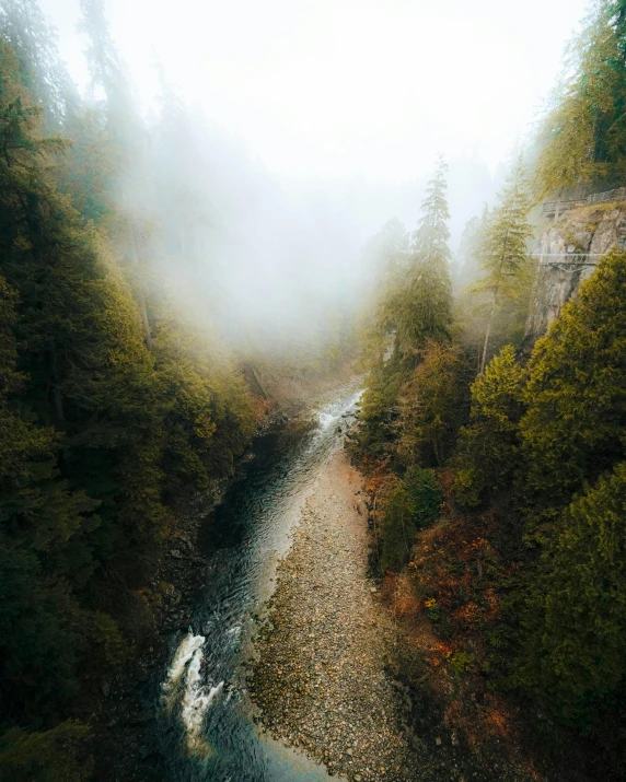 a river running through a forest with fog
