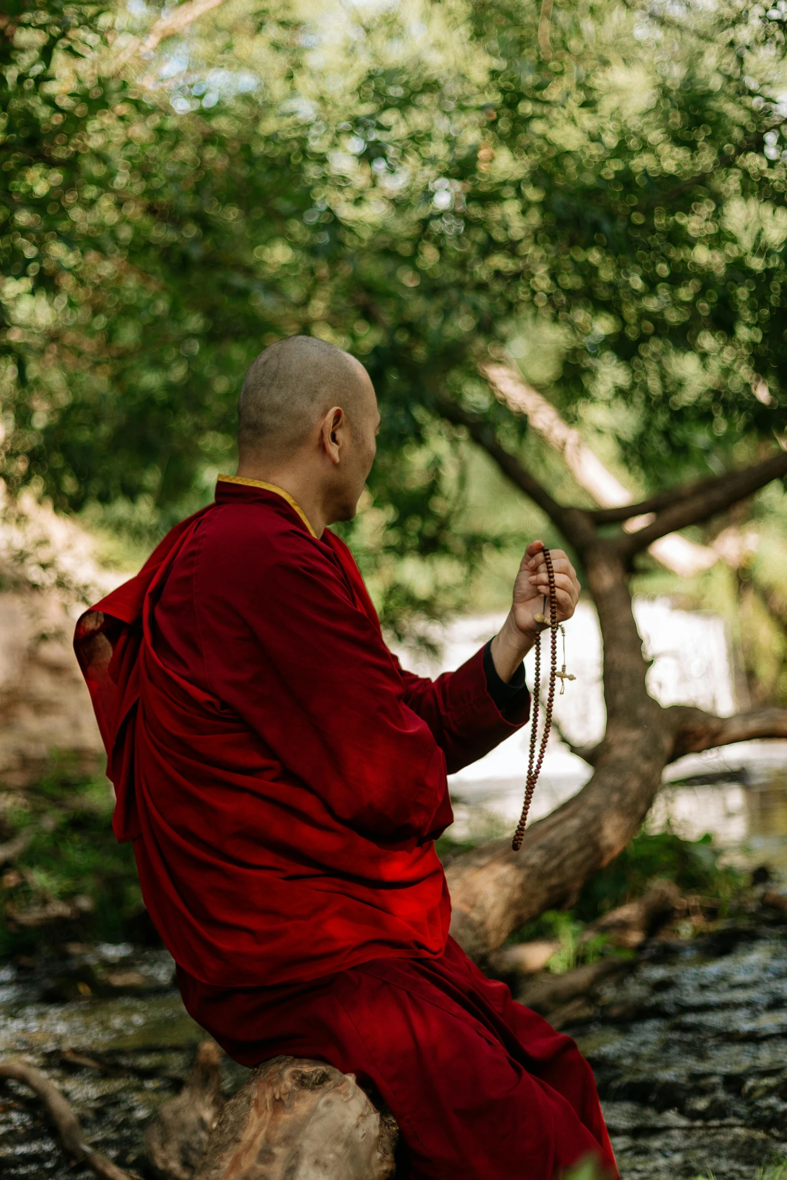 a man sitting on a rock in the woods