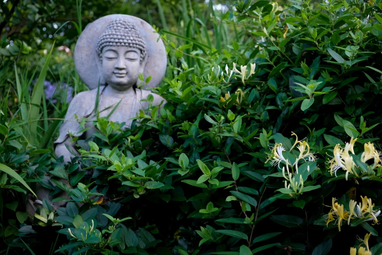 a buddha statue is standing in the bushes