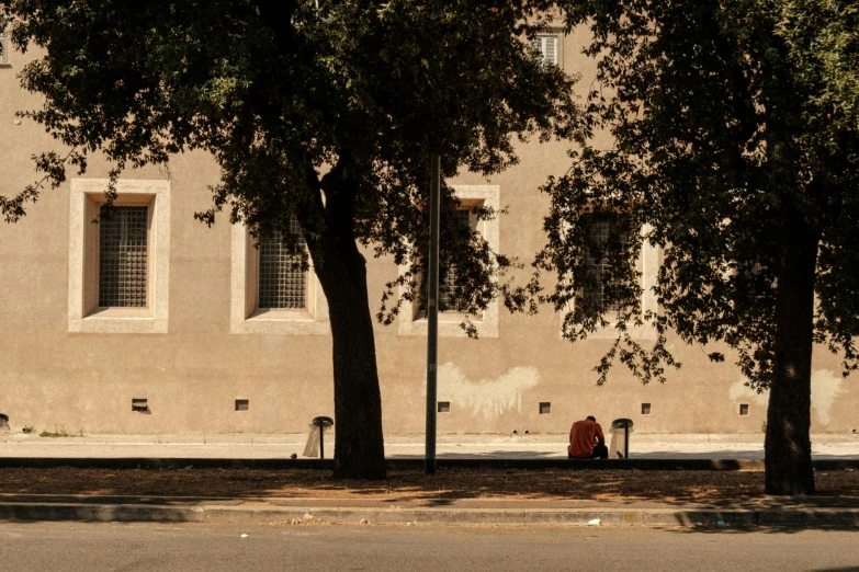 a person walking down the sidewalk next to a tree