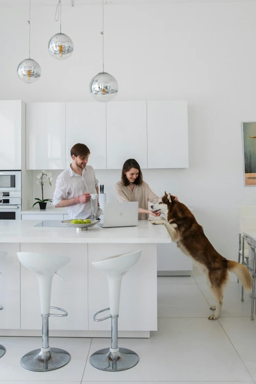 a man and woman stand in the kitchen with their dog