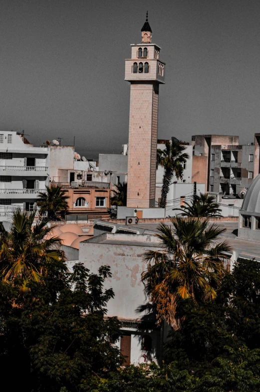 a clock tower towering over a city with palm trees