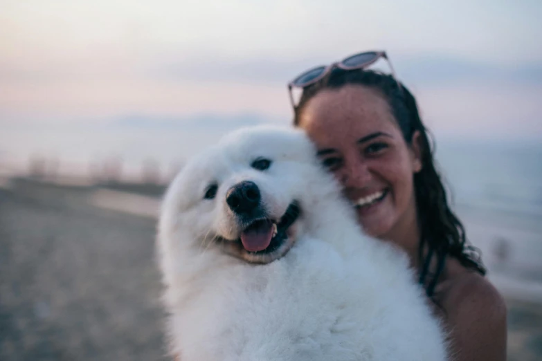 woman in sunglasses holding dog on the beach