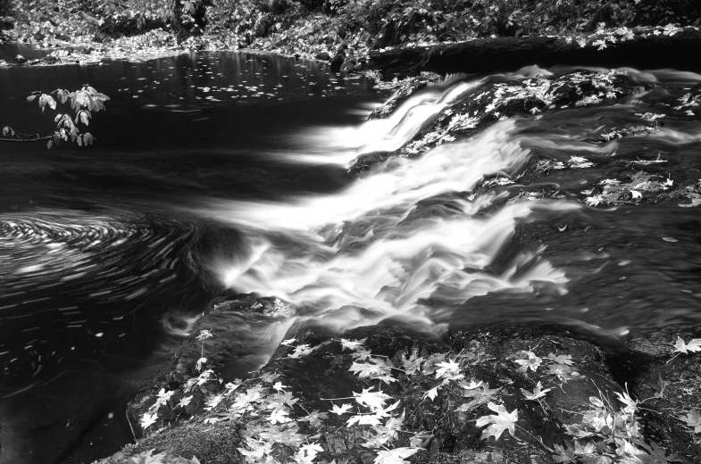 a black and white po of a flowing stream