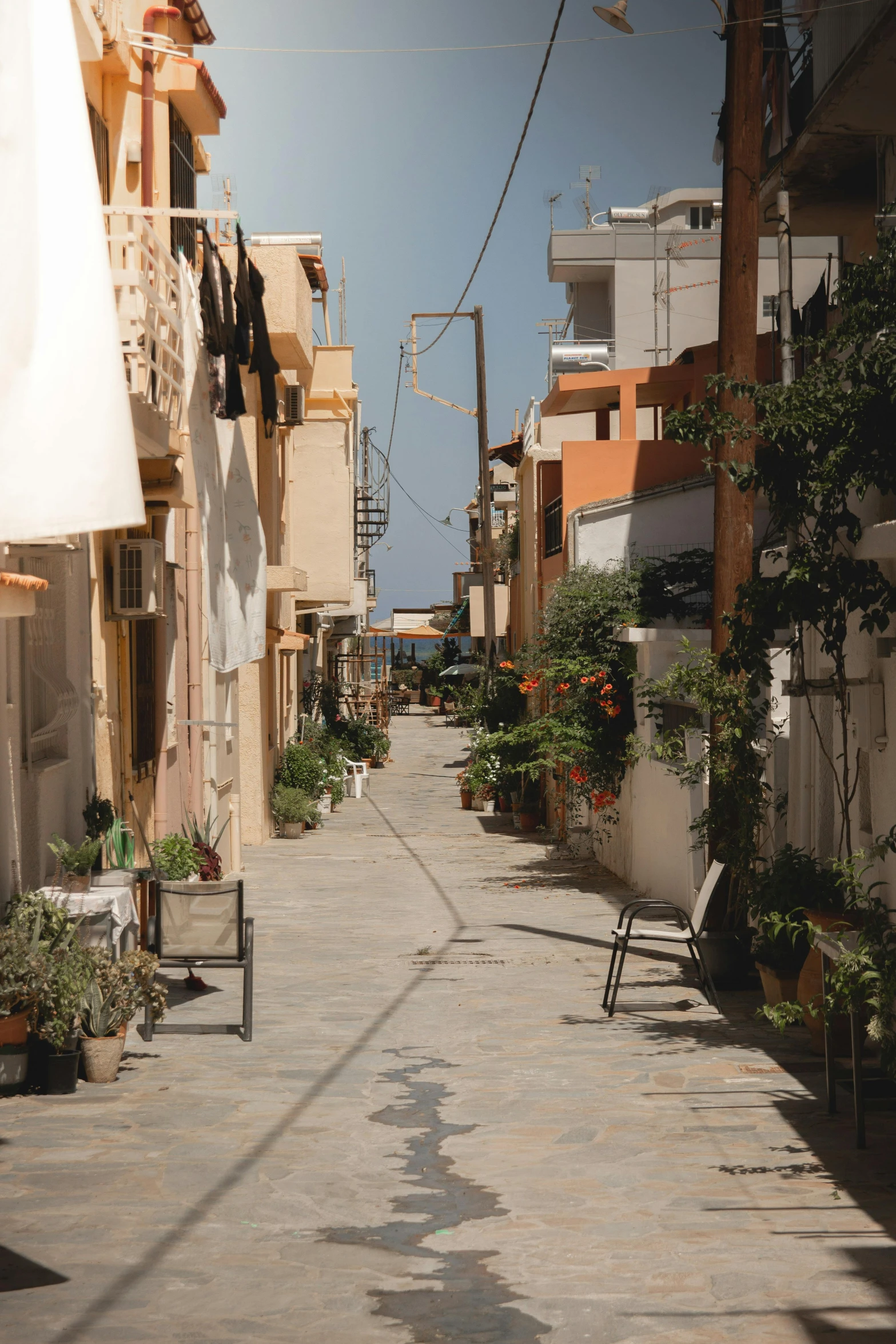 a street that has some plants on it