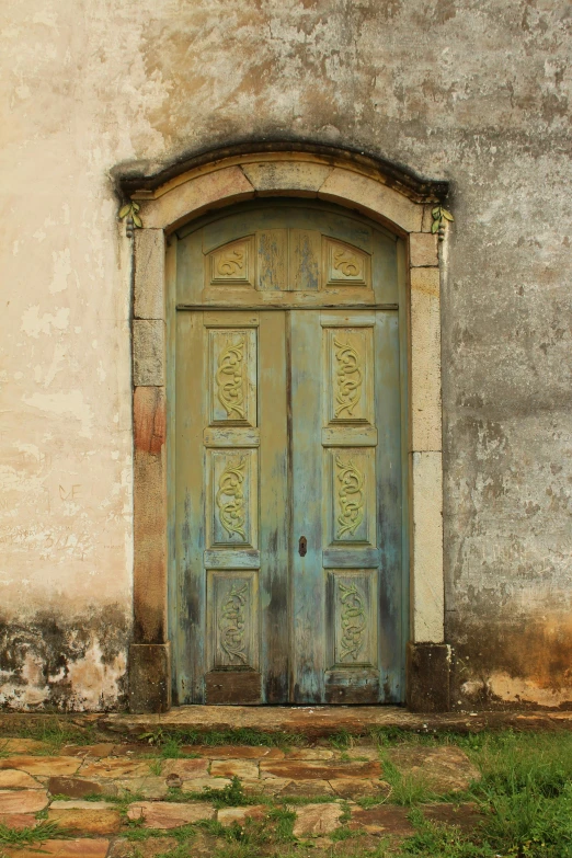 the door is brown with green plants growing in front