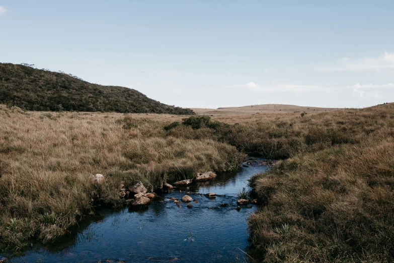 a stream is running through some brown grass