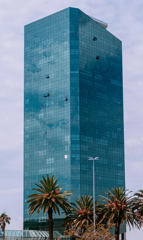 the tall building has several palm trees in front of it