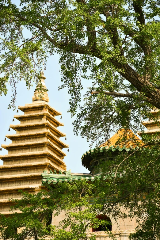 a pagoda stands under a leafy tree with a blue sky in the background