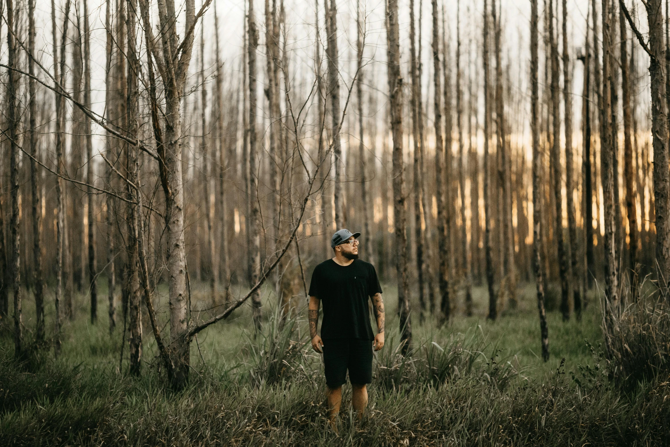 a person standing in the middle of a grassy forest