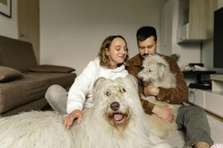 a beautiful young woman sitting next to a big gy white dog