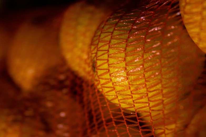 the orange and net are all different things