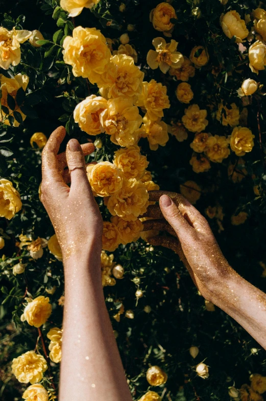 two hands reaching up towards yellow flowers