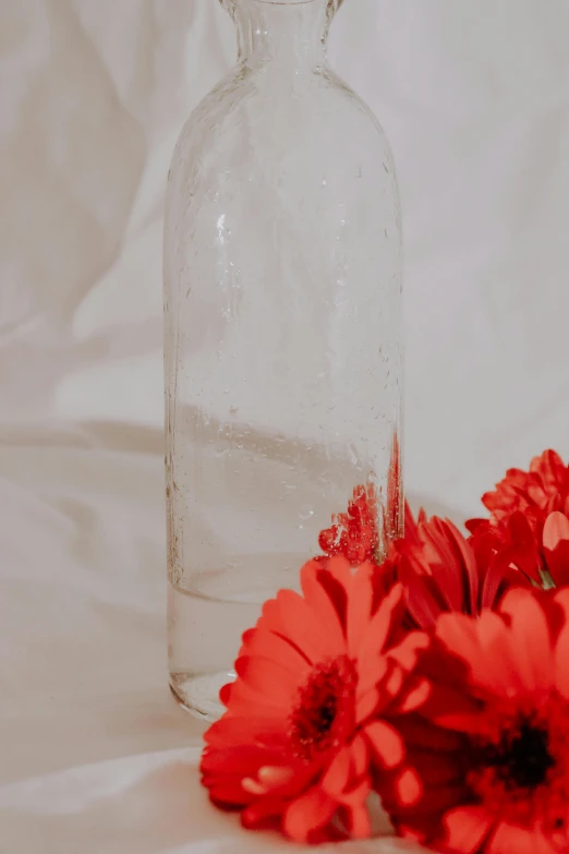 a glass bottle filled with water and red flowers