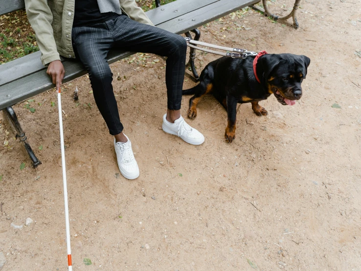 man with dog sitting on bench in open area