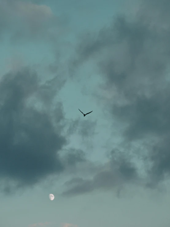 a large plane flying under a cloudy sky