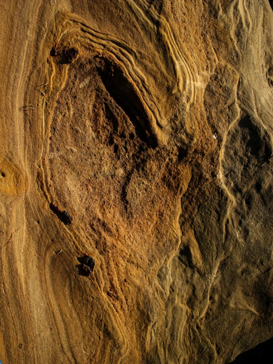 some rock formation with many small trees on it