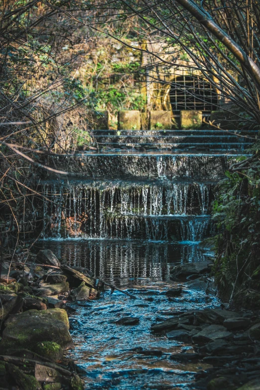 a waterfall running under trees and rocks