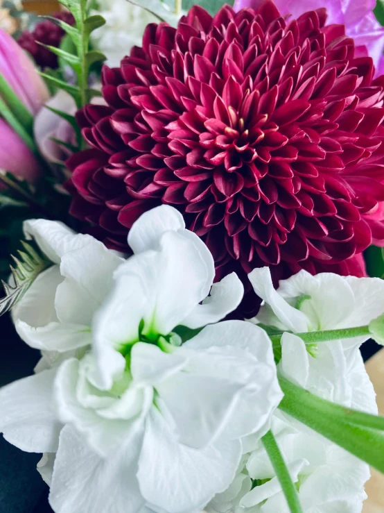 a closeup of flowers in a vase