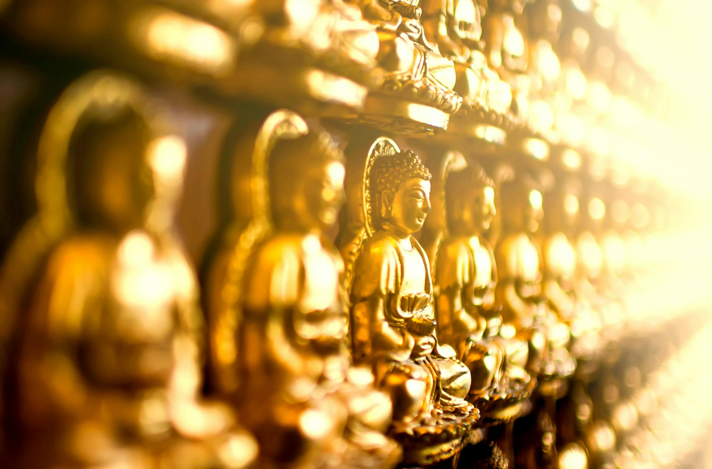 the sun shining down on a row of gold buddha statues