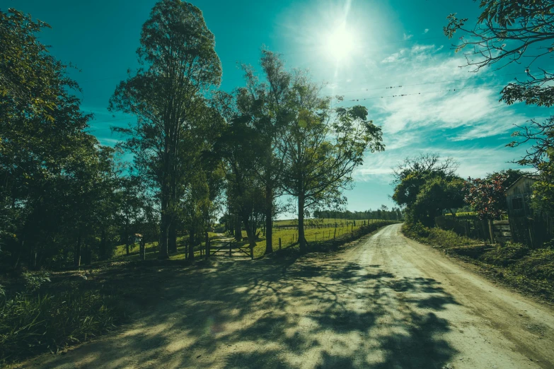 a rural country road is shaded by some trees and surrounded by rolling clouds