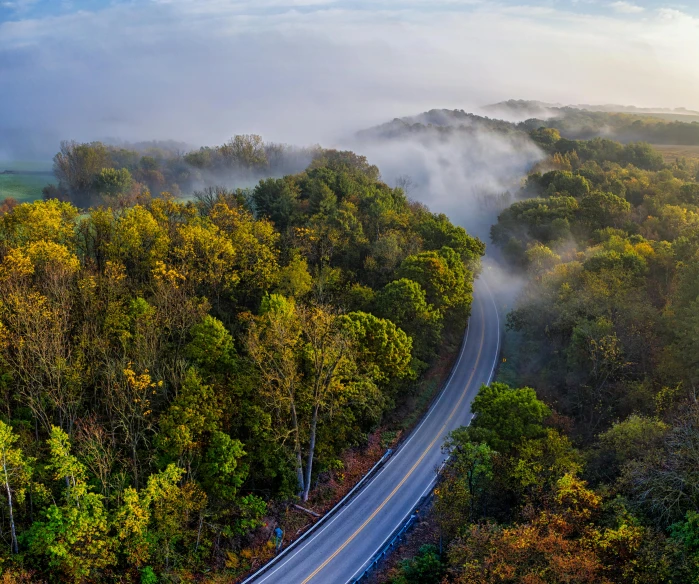 this is an aerial view of a road in the woods