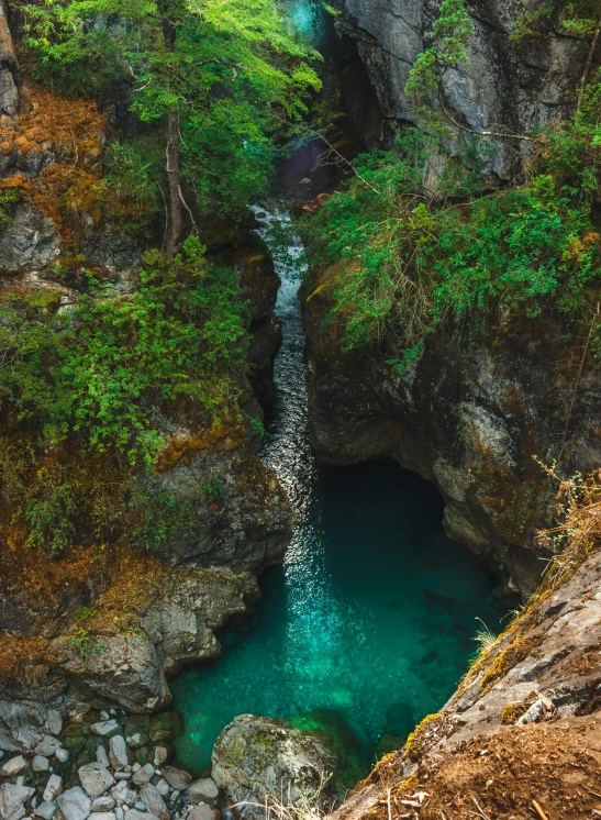 the water has been crystal green, so the water is green