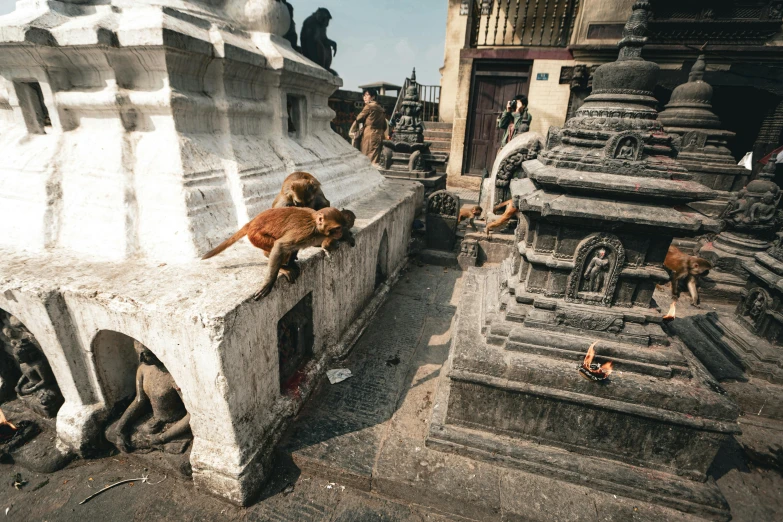 a cat laying on the ledge of a white building