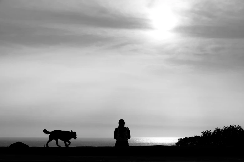 a man is walking a horse on a hill