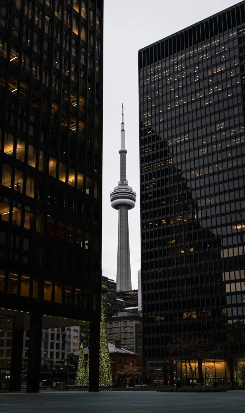 a very tall christmas tree with a building in the background