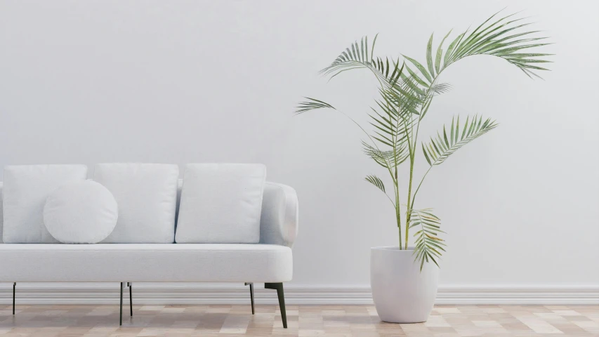 a white couch with pillows next to a plant