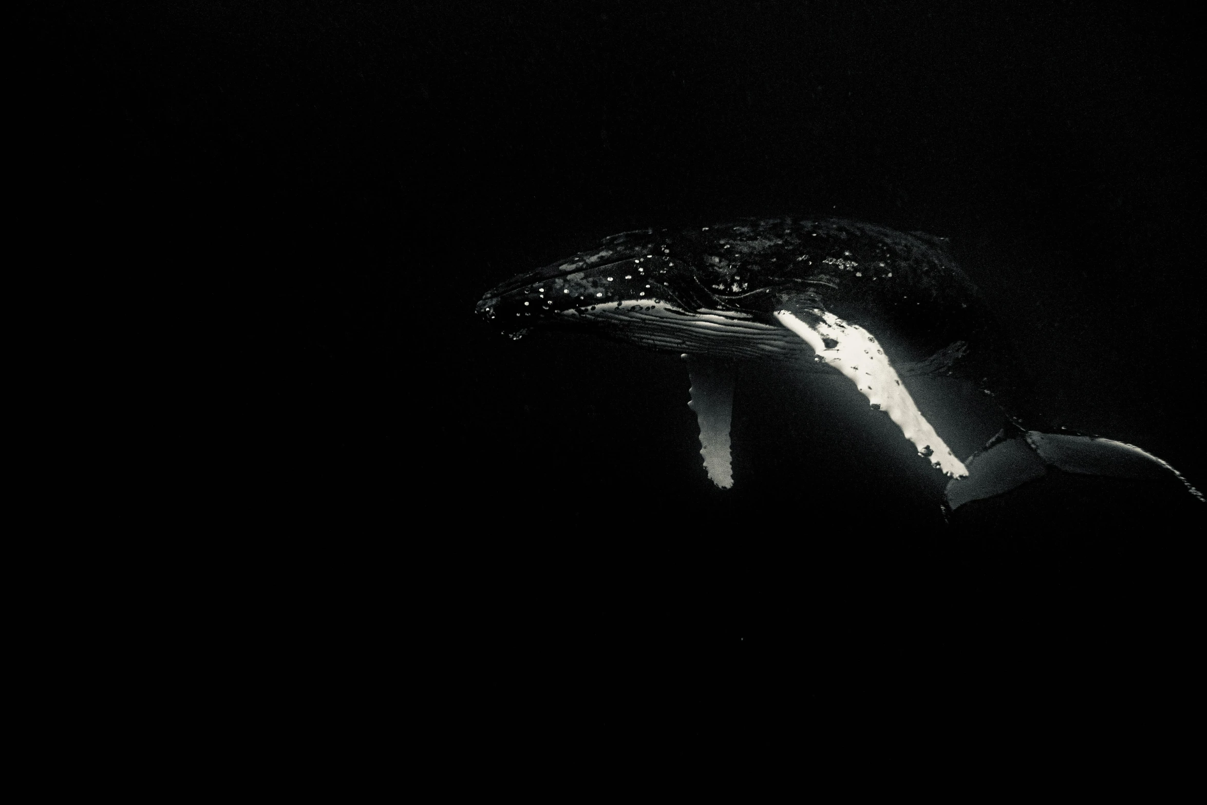 a black and white po of a man sitting in the dark