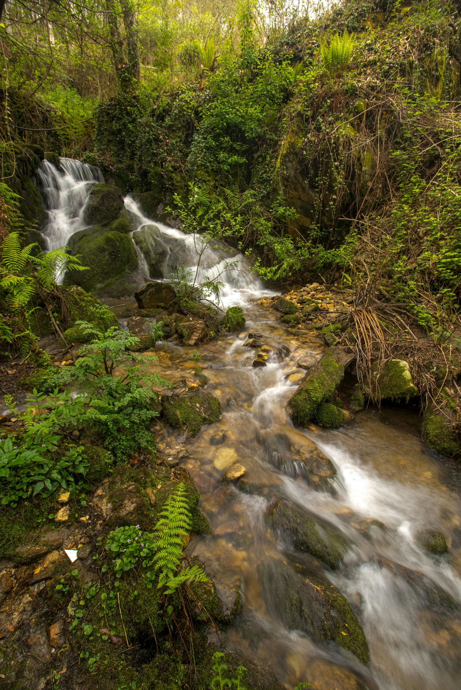 there is a small waterfall and creek in the woods