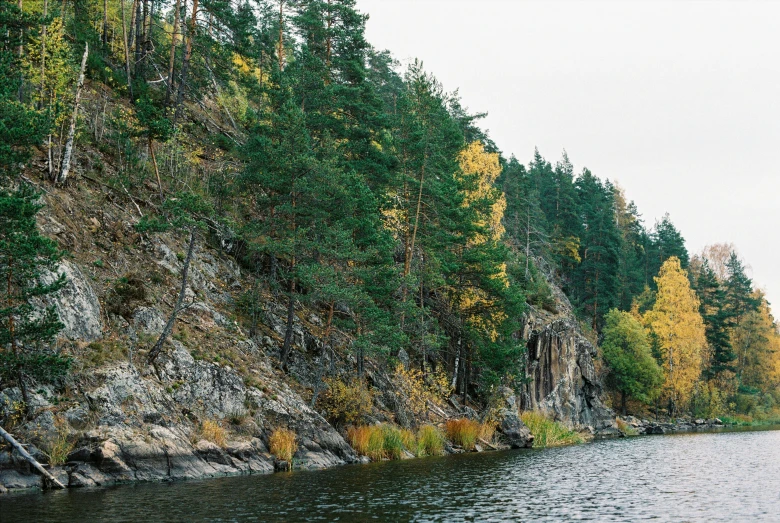 a boat traveling on a river next to the forest