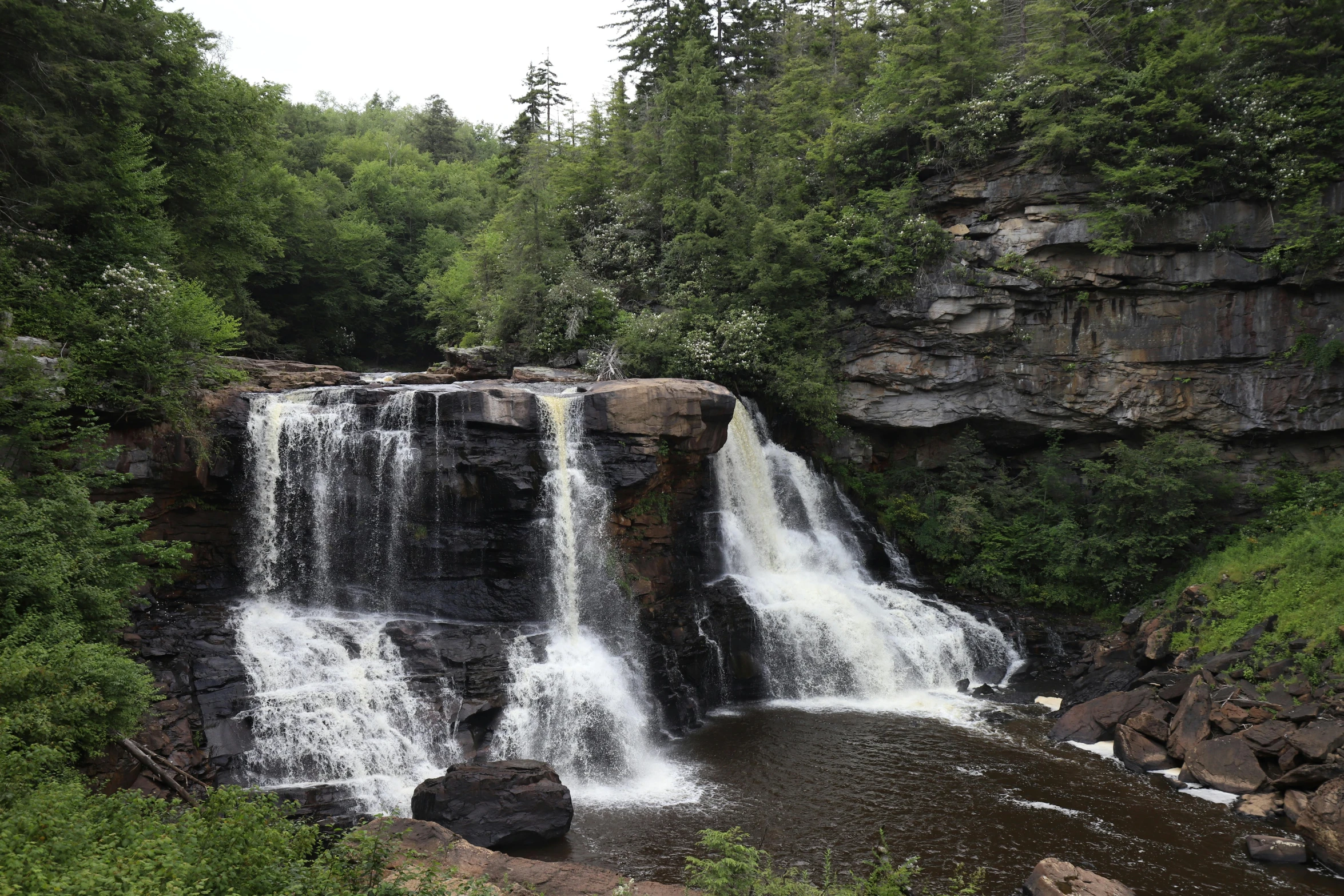 a waterfall flowing into a lush green forest