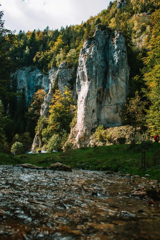 a river runs through a valley surrounded by trees