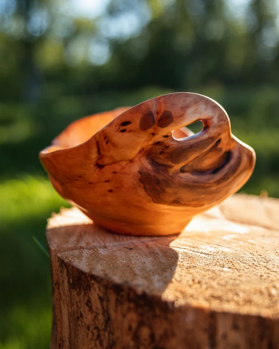 a wooden bowl sitting on top of a tree stump