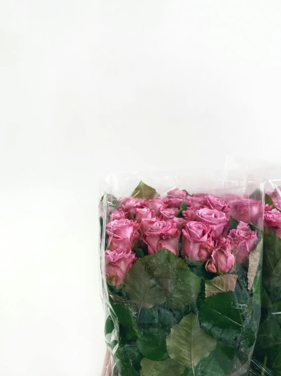 two bags are filled with some pink roses