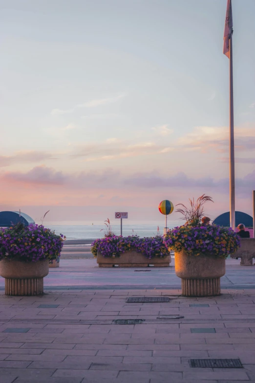 two planters holding flowers are placed near the beach