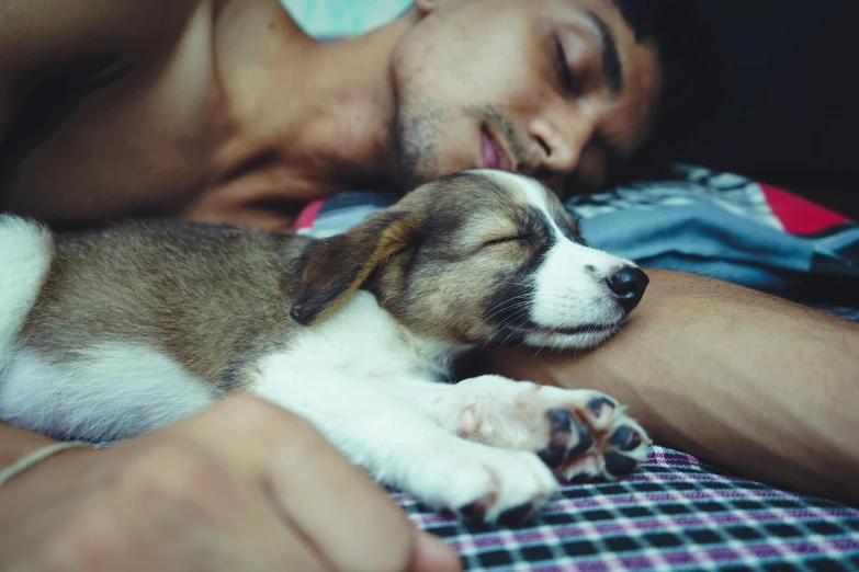 the puppy is sleeping next to his owner on the bed