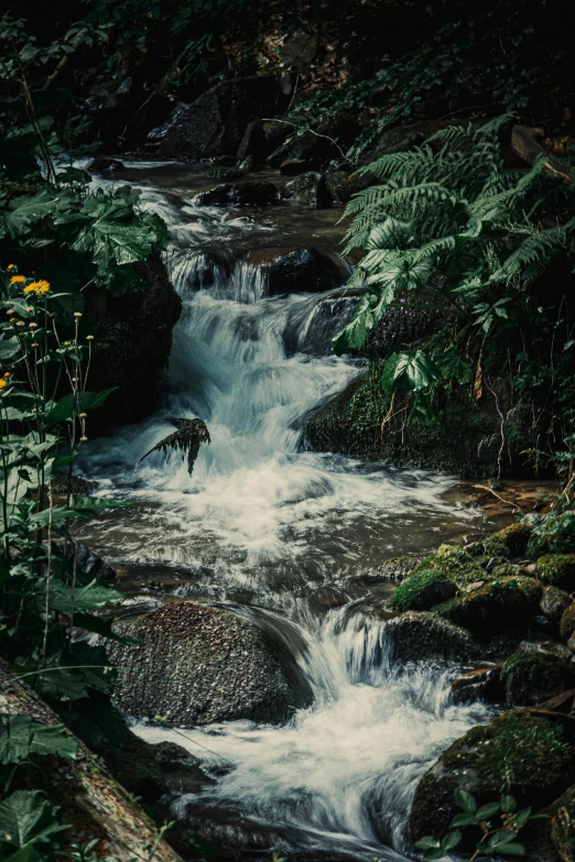 a small waterfall flows into some tropical water