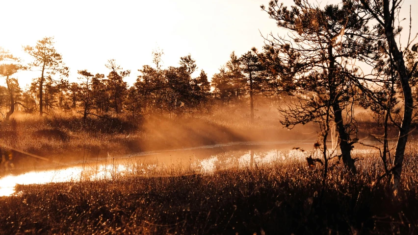 a body of water that has steam rising from the water