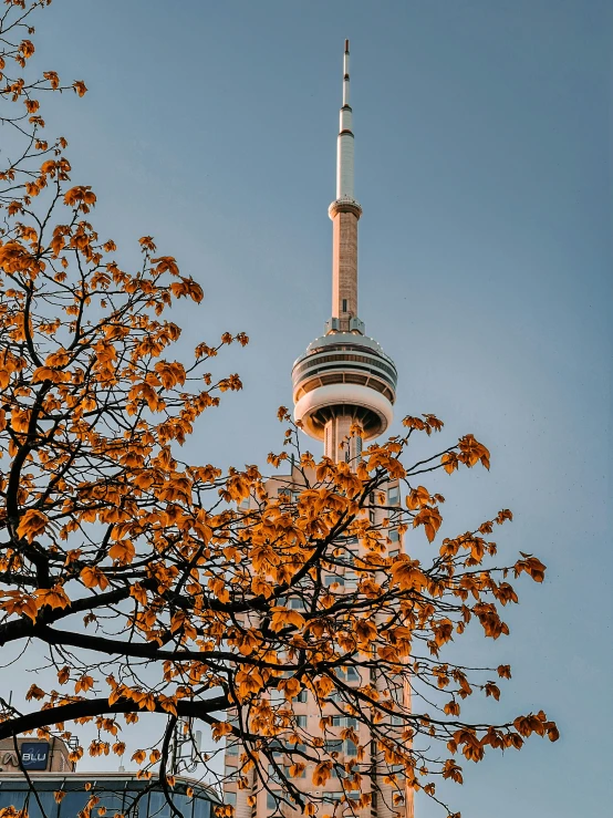 a tall building that has a television tower in the middle