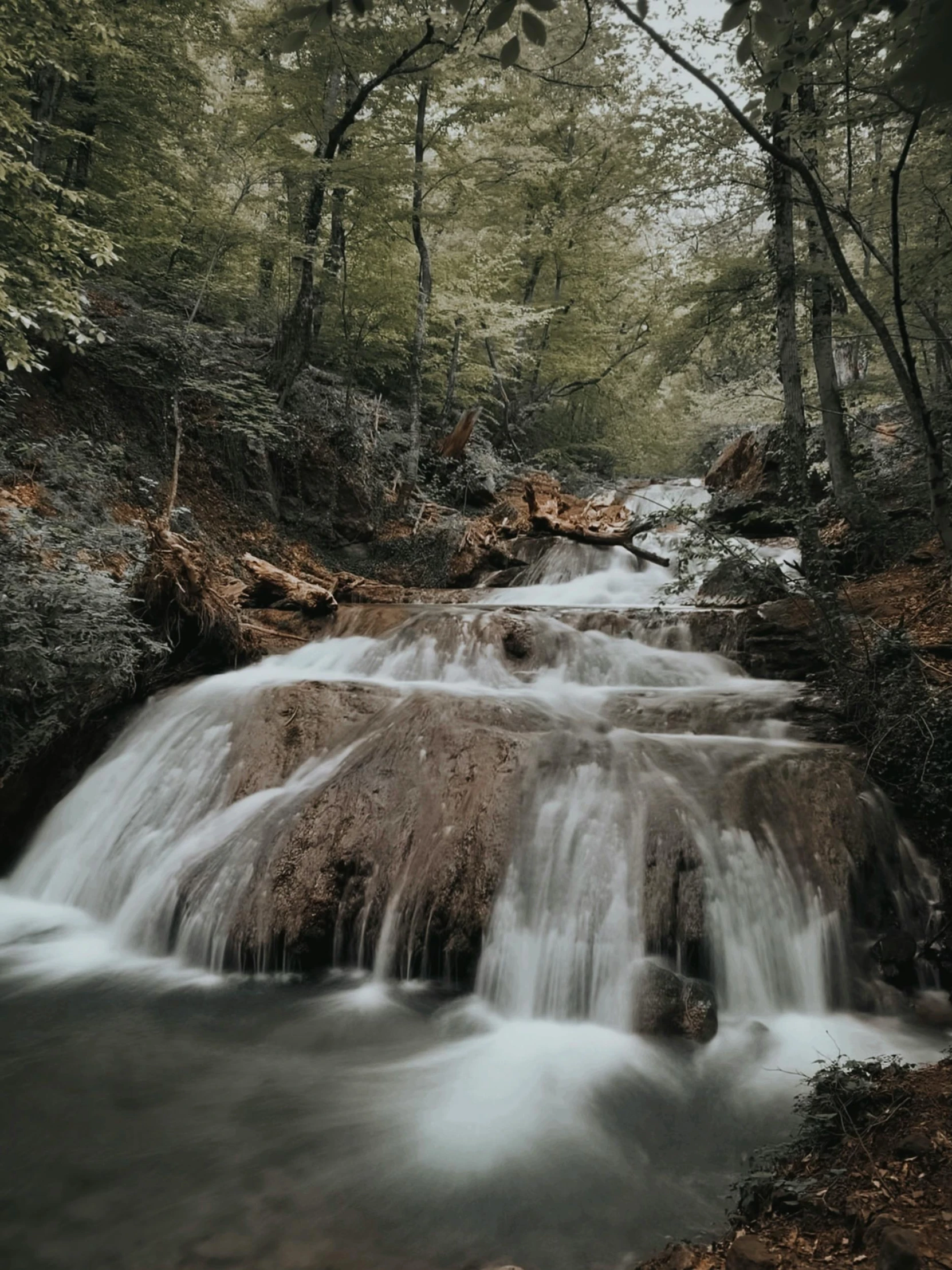 this is an amazing waterfall in the forest