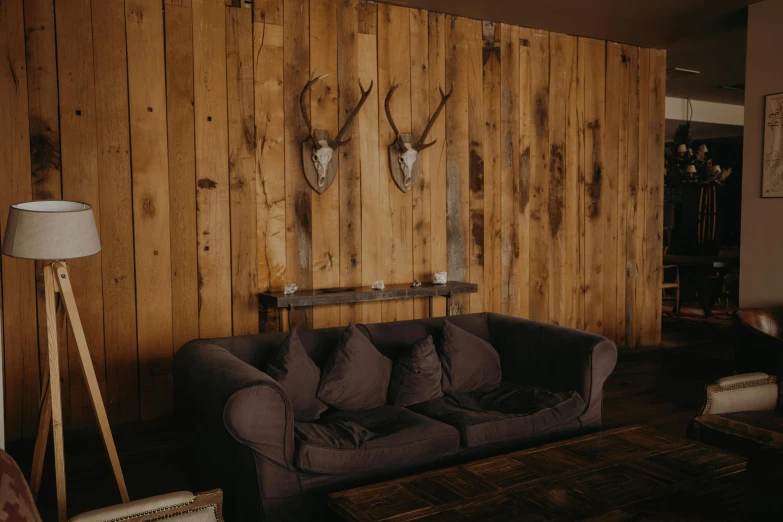 an animal - head mounted on a wall behind a gray couch