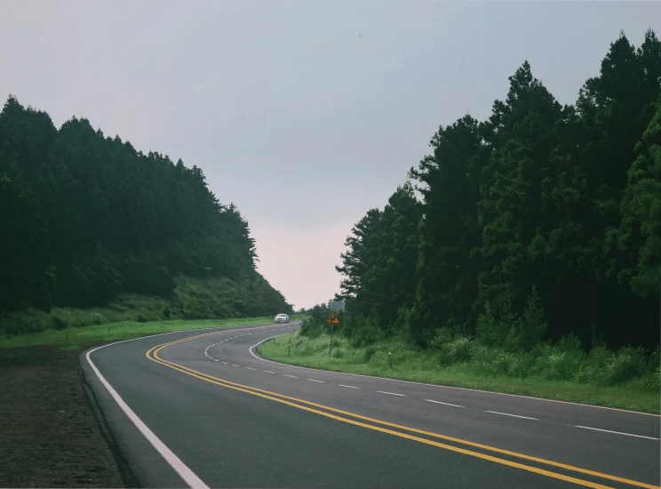 an empty country road in the middle of the woods