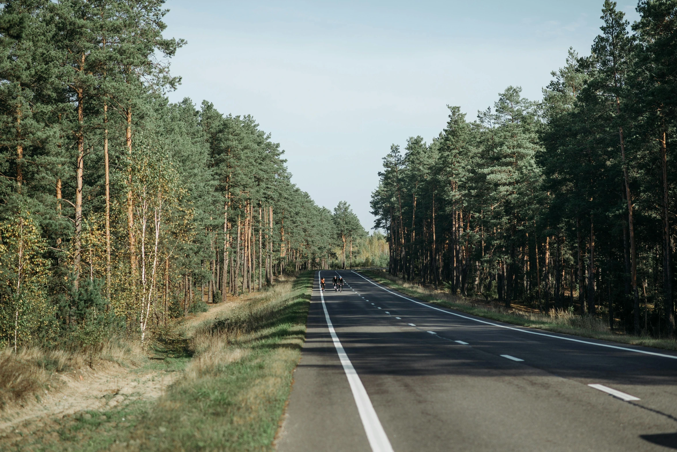 a large long street with several trees along the sides